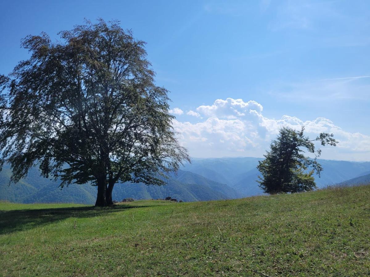 Mateo Transalpina Hotel Sasciori ภายนอก รูปภาพ