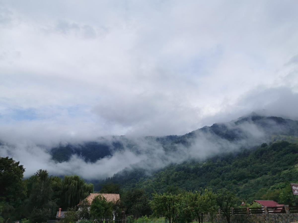 Mateo Transalpina Hotel Sasciori ภายนอก รูปภาพ