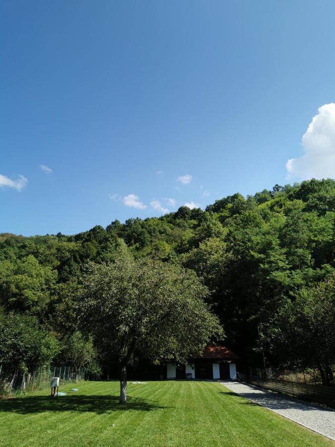 Mateo Transalpina Hotel Sasciori ภายนอก รูปภาพ